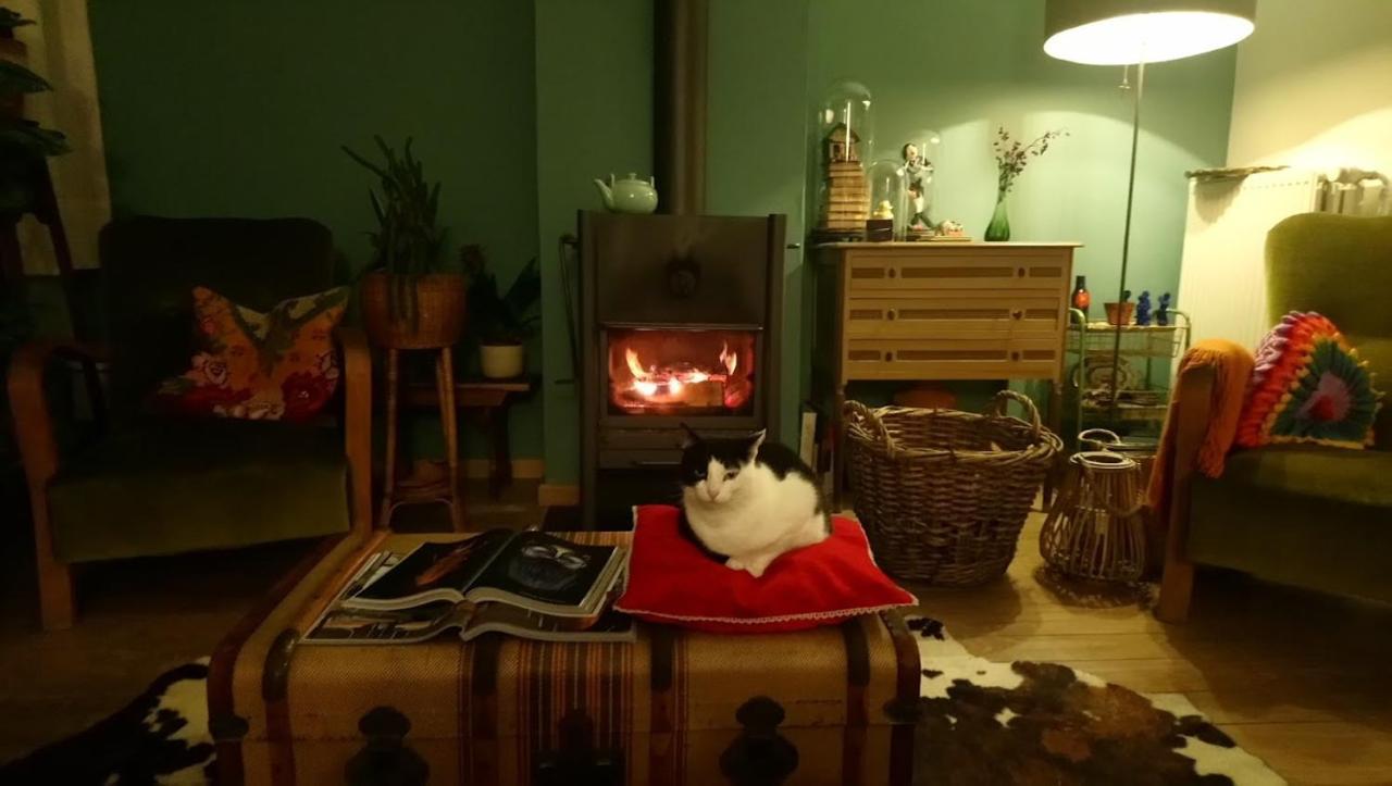 Rachel Bed and Breakfast Brugge Buitenkant foto