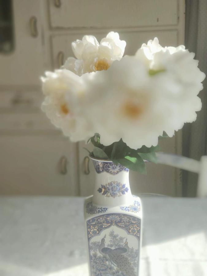 Rachel Bed and Breakfast Brugge Buitenkant foto